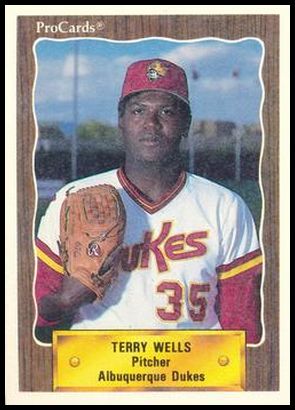 346 Terry Wells